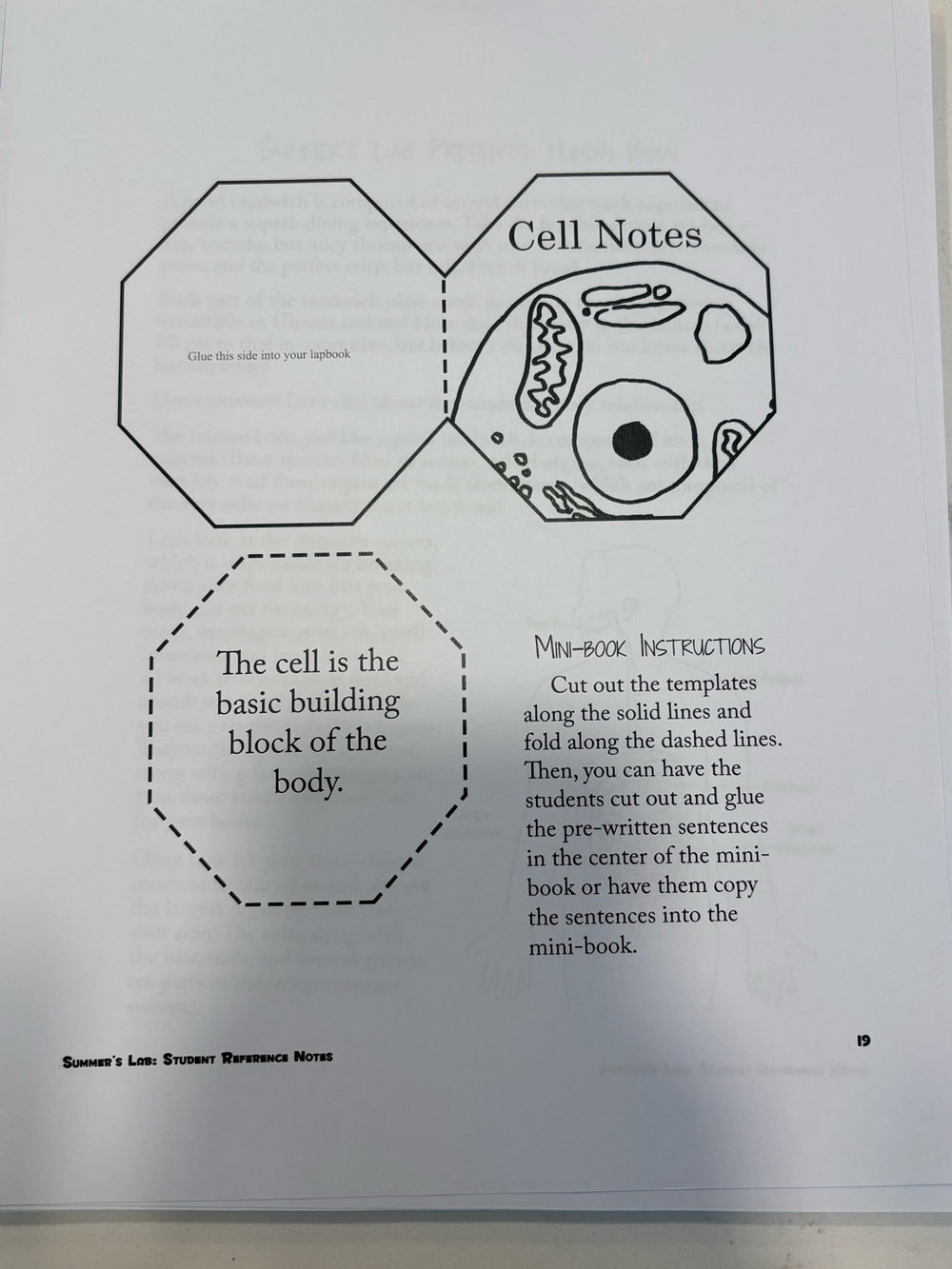 Summers Lab Learning Notes - Picture 6 of 9